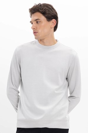 Erkek Standart Fit Normal Kesim Uzun Kollu Ekstra Soft Modal Kumaş Bisiklet Yaka Taş Sweatshirt