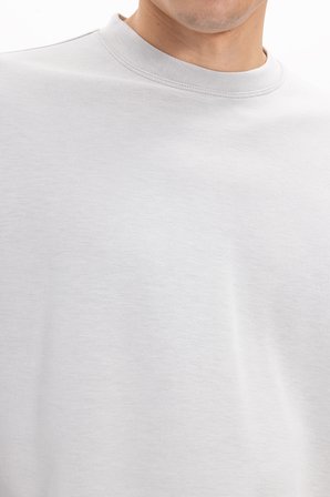 Erkek Standart Fit Normal Kesim Uzun Kollu Ekstra Soft Modal Kumaş Bisiklet Yaka Taş Sweatshirt