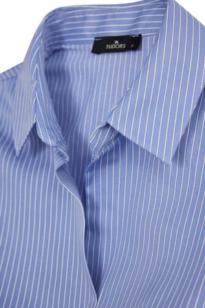 Kadın Slim Fit Dar Kesim Pamuklu Uzun Kollu Çizgili Mavi Kadın Gömlek