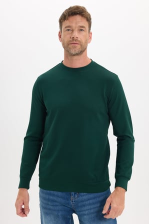 Erkek Standart Fit Normal Kesim Uzun Kollu Ekstra Soft Modal Kumaş Bisiklet Yaka Yeşil Sweatshirt
