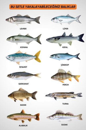 30 Parça Deniz ve Göl Profesyonel Olta Takımı Seti - 330cm Kamış 100-300GR