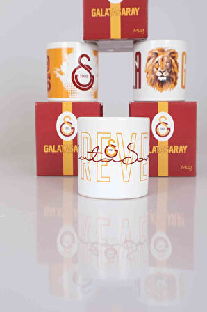 "DEKOMUS CEP DEFTERİ HEDİYELİ" YENİ SEZON TEKLİ LİSANSLI GALATASARAY KUPA 