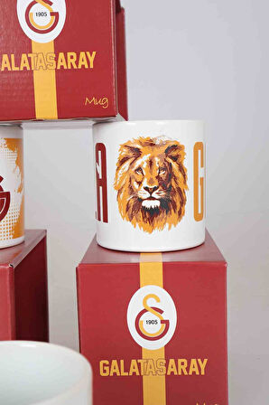 "DEKOMUS CEP DEFTERİ HEDİYELİ" YENİ SEZON TEKLİ LİSANSLI GALATASARAY KUPA 