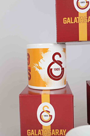 "DEKOMUS CEP DEFTERİ HEDİYELİ" YENİ SEZON TEKLİ LİSANSLI GALATASARAY KUPA 