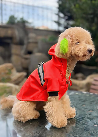 Su Geçirmez Kırmızı Köpek Yağmurluğu