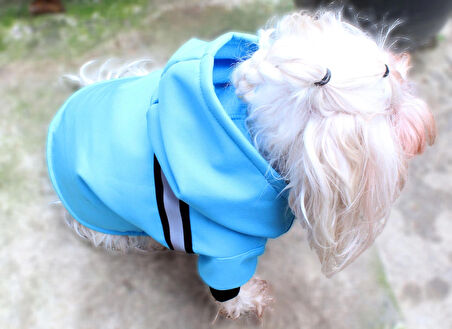 Su Geçirmez Mavi Köpek Yağmurluğu