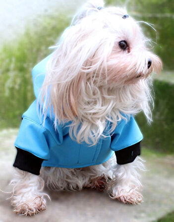 Su Geçirmez Mavi Köpek Yağmurluğu