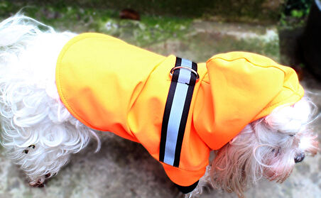 Su Geçirmez Turuncu Köpek Yağmurluğu