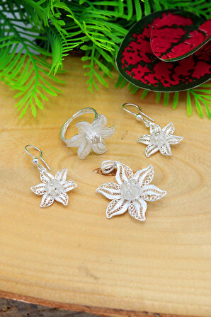 Rüzgar Gülü Kadın 925 Ayar Gümüş Telkari Üçlü Set 201022175