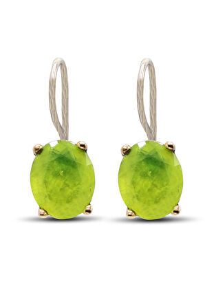 Paraiba Taşlı Otantik Gümüş Kadın Küpe 201024132