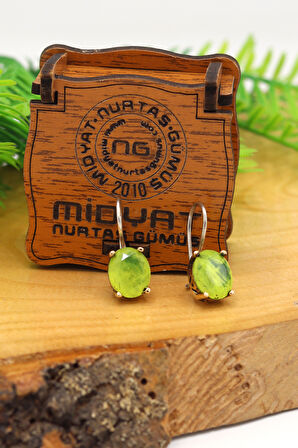 Paraiba Taşlı Otantik Gümüş Kadın Küpe 201024132
