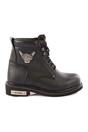 HARLEY DAVIDSON 025G0109 GIBSON-1 ZENNE BOT