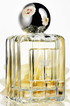 ZARA SHADES OF LUST EDP 100 ML
