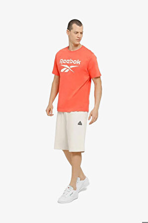 Reebok Reebok identity Erkek Turuncu T-Shirt 101864613