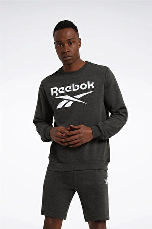 4W,REEBOK IDENTITY BIG LOGO,ANTRASIT