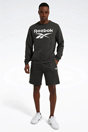 4W,REEBOK IDENTITY BIG LOGO,ANTRASIT