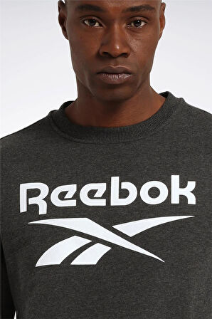 4W,REEBOK IDENTITY BIG LOGO,ANTRASIT