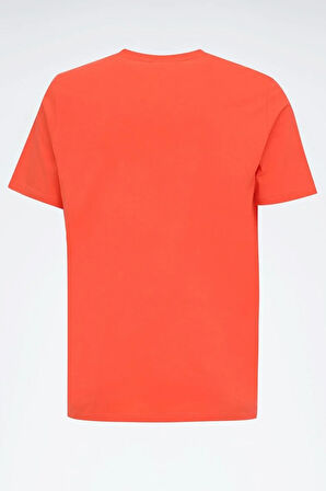 Reebok New Id Reg Tee Erkek Tişört