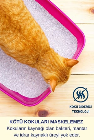 Çiş Koku Giderici Dezenfektan Etkili Kedi Kumu Köpek Evi Günlük Yüzey Temizleyici Sprey Seti