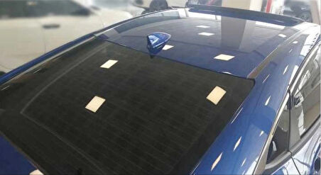 SHARKFIN BALIK SIRTI BOYASIZ