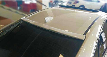 SHARKFIN BALIK SIRTI BOYASIZ