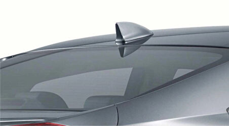 SHARKFIN BALIK SIRTI BOYASIZ