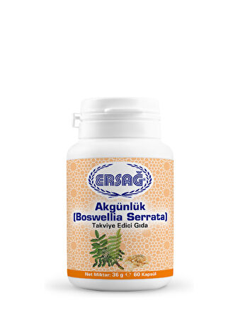 Ersağ Akgünlük (Boswellia Serrata)