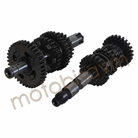 W-ŞANZIMAN SETİ YBR JIANSHE