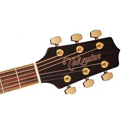 Takamine GD51-NAT Akustik Gitar