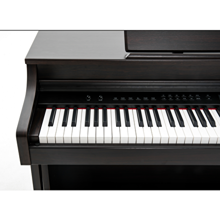 Capella CP350 Rosewood Dijital Piyano