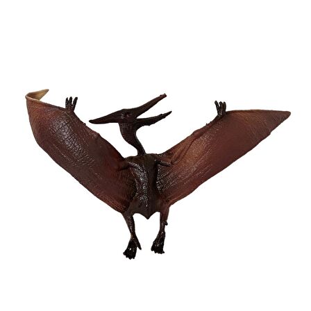 Pterosaur Dinazor 15 Cm - Q603-9