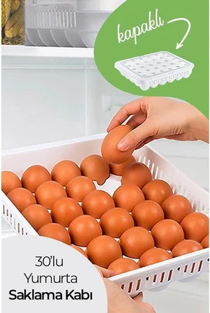 30'lu Kapaklı Yumurta Saklama Kabı, Akrilik Plastik Yumurta Saklama Kabı, 30'lu Yumurtalık 681