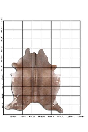 Hakiki Deri Dana Postu Gri ve Tonları 180 x 210 cm