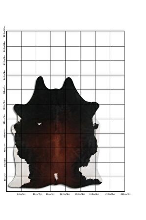 Hakiki Deri Dana Postu Üç Renk 200 x 240 cm