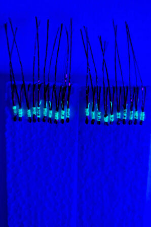 Eagenset Çapari, İstavrit Çaparisi, 25x12 Beden, Uv Neon Kırmızı + Fuşya + Kırçıl Balık Sırtı Sim, 11 No Kırmızı İğne, 10 İğneli Çapari 2li Paket