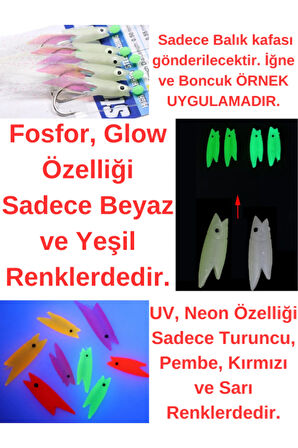 Eagenset Silikon Balık Kafası Neon UV Pembe Yapay Yem Olta Takımı, Çapari, Jig, Yapım Malzemesi 3 cm 5 Adet