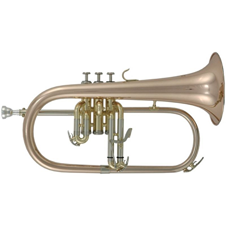 Roy Benson FH-302G Flugelhorn