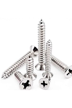Sunta vidası Galvanizli 3,5x25 Mm 500 Adet