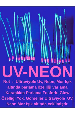 ea genset Çapari, İstavrit Çaparisi, 25x12 Beden, Ultraviyole Uv Neon Fıstık Yeşili - Fuşya Sim, 11 No Beyaz İğne, 10 İğneli 2li Paket