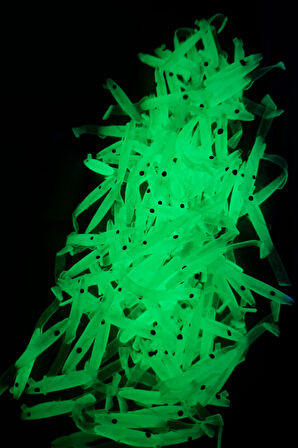 Eagenset Silikon Balık Fosforlu Glow Luminous Karanlıkta Parlayan Yapay Yem 3.5 cm 10 Adet 