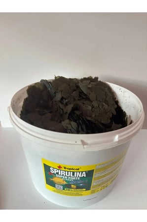Super Spirulina Forte Flakes 20 GR