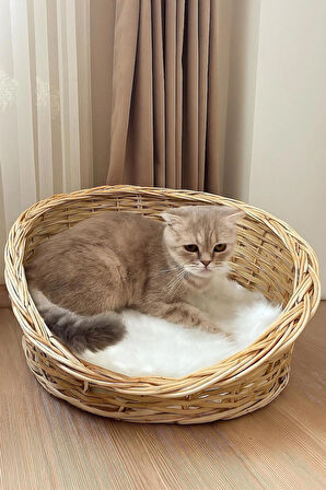 Kedi Köpek Yatağı 