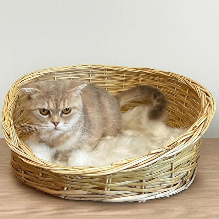 Kedi Köpek Yatağı 