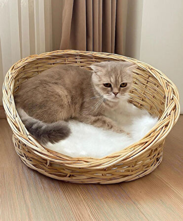 Kedi Köpek Yatağı 