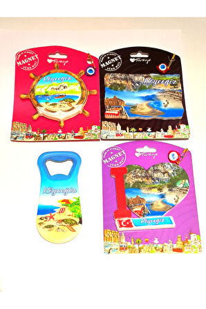 Monalisa Home 4 Adet Farklı Model Desenli Renkli Kültürel Mıknatıslı Magnet