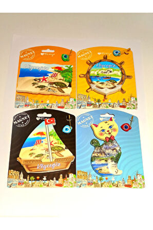 Monalisa Home 4 Adet Farklı Model Desenli Renkli Kültürel Mıknatıslı Magnet