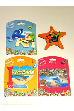 Monalisa Home 4 Adet Farklı Model Desenli Renkli Kültürel Mıknatıslı Magnet