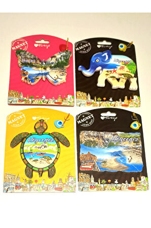 Monalisa Home 4 Adet Farklı Model Desenli Renkli Kültürel Mıknatıslı Magnet