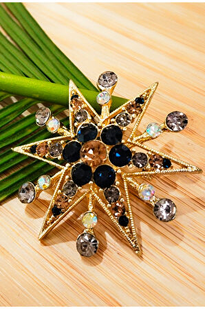 Monalisa Home Taşlı Deniz Yıldızı  Figürlü Broş