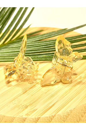 Monalisa Home 2 Li 4.5 cm  Renkli Lüks Kelebek Toka